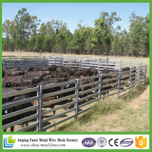 China Supply 6 Rail Portable Livestock bovins Panels